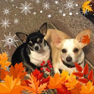 Meet your Posher, Shirley ann